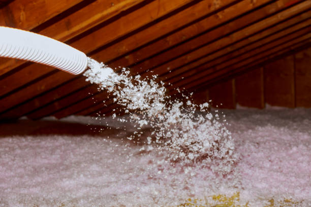 Best Geographic-Specific Insulation Services in Rosaryville, MD