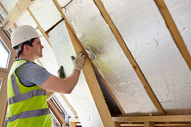 Best Cellulose Insulation in Rosaryville, MD