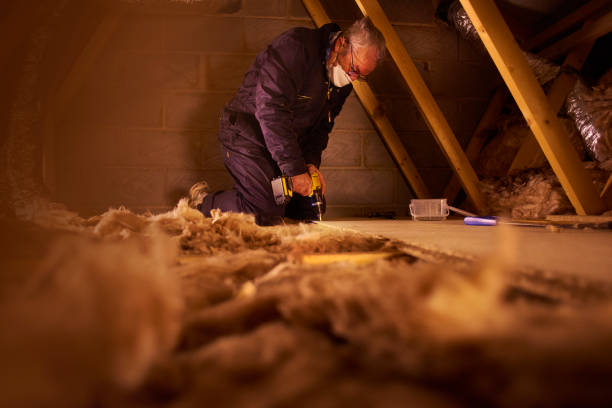 Best DIY Insulation Kits and Guidance in Rosaryville, MD